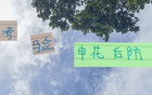 考驗薛慶浩，申花龍哥蔣圣龍難防馬萊萊！