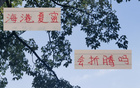 無(wú)奧斯卡，海港跌至四名，昔日霸主失色。