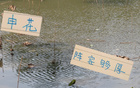 申花替補(bǔ)陣容，國(guó)腳主力，中超榜首霸主。