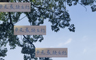 申花后勁不足，海港、國(guó)安仍有翻盤(pán)機(jī)會(huì)。