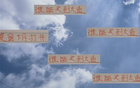 大魚浮頭，夏窗中超購人潮，申花南多，前海港奇塔。
