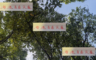 海港青春風(fēng)暴，李新翔領(lǐng)銜，大連賽進(jìn)球助攻顯身手！