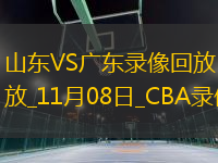 CBA常規(guī)賽山東112-88廣東
