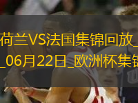 06月22日歐洲杯小組賽D組第2輪荷蘭vs法國精彩片段