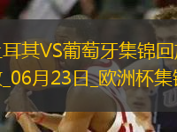 06月23日歐洲杯小組賽F組第2輪土耳其vs葡萄牙進球視頻