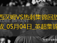 05月04日英超第35輪西漢姆聯(lián)vs熱刺進球視頻