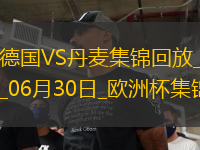 06月30日歐洲杯1/8決賽德國vs丹麥精彩片段