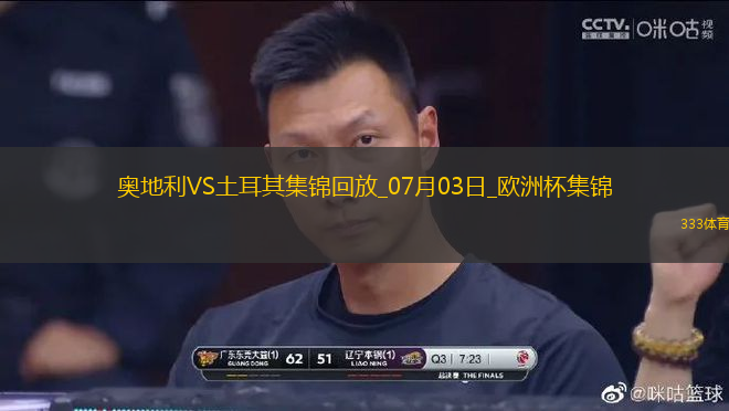 07月03日歐洲杯1/8決賽奧地利vs土耳其進球視頻