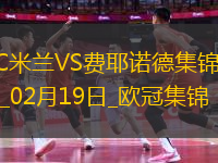 02月19日歐冠淘汰賽附加賽次回合AC米蘭vs費耶諾德進球視頻