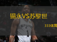 錫永VS蘇黎世