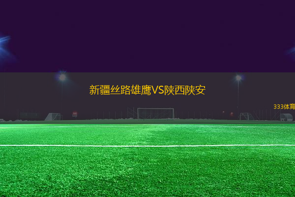 新疆絲路雄鷹VS陜西陜安