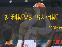 謝利斯VS巴達(dá)祖斯