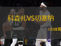 科森扎VS切塞納