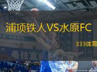 浦項(xiàng)鐵人VS水原FC
