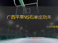廣西平果VS石家莊功夫
