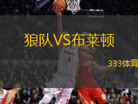 狼隊VS布萊頓