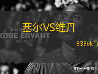塞爾VS維丹
