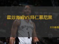 霍芬海姆VS拜仁慕尼黑