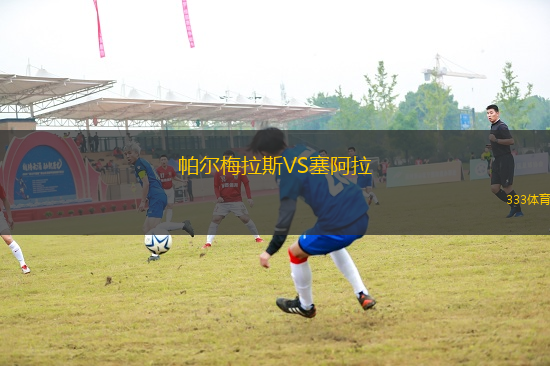 帕爾梅拉斯VS塞阿拉