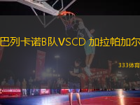巴列卡諾B隊(duì)VSCD 加拉帕加爾