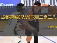 成都蓉城B隊VS深圳二零二八