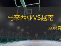 馬來(lái)西亞VS越南