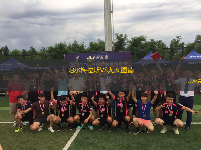 帕爾梅拉斯VS尤文圖德