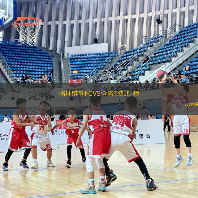格林維勒FCVS查塔努加紅狼