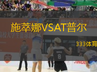施萃娜VSAT普爾