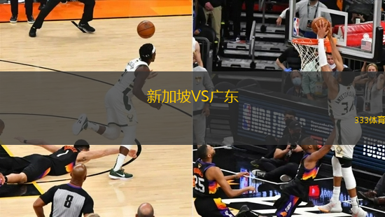 新加坡VS廣東