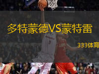 多特蒙德VS蒙特雷